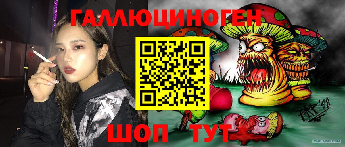 Каменка  цена   Вход с VPN  Галлюциногенные грибы GOLDEN TEACHER 